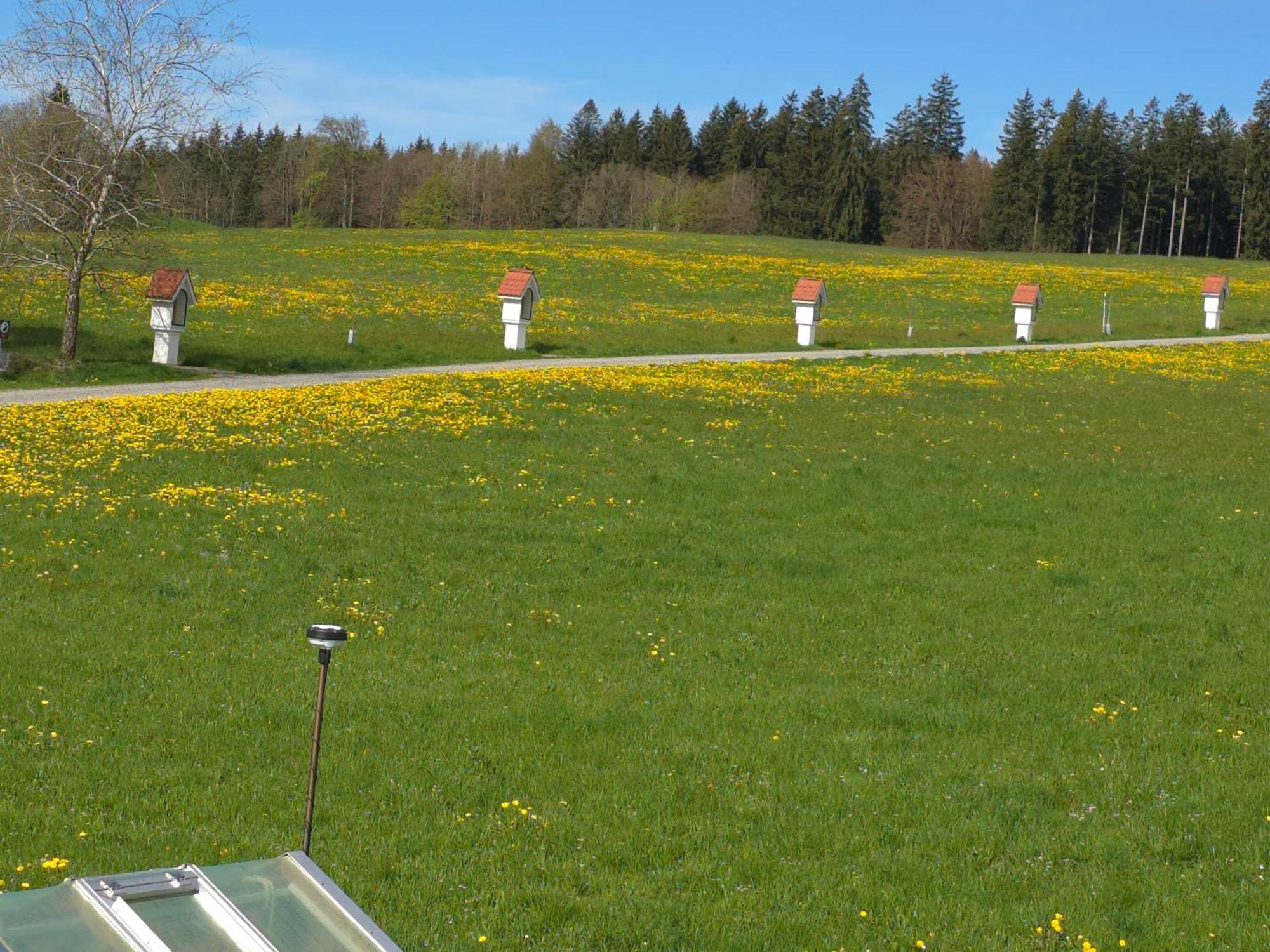 Apartmán Alpenblick Leutkirch im Allgäu Pokoj fotografie